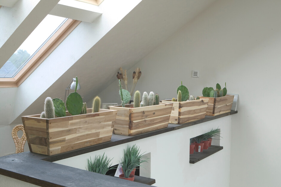 Dachfenster mit Blumen & Pflanzen ausstatten VELUX Magazin